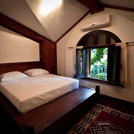 布提纳青年旅舍 酒店 地拉那