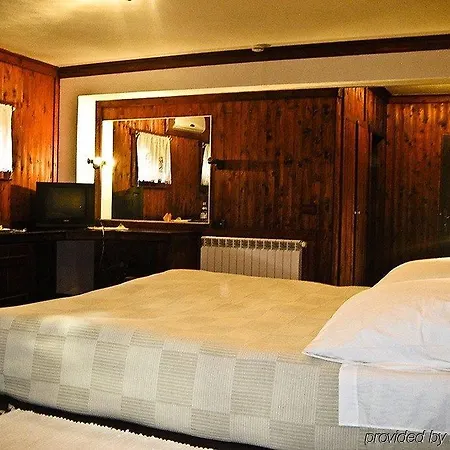 布提纳青年旅舍 4* 地拉那