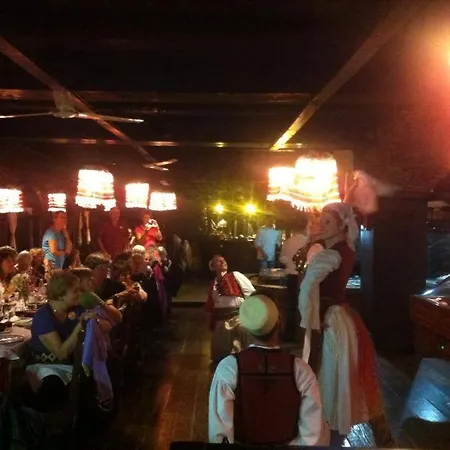 布提纳青年旅舍 4* 地拉那