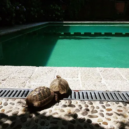 布提纳青年旅舍