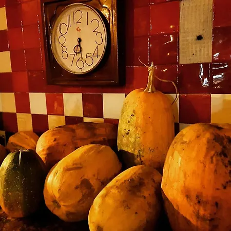 布提纳青年旅舍