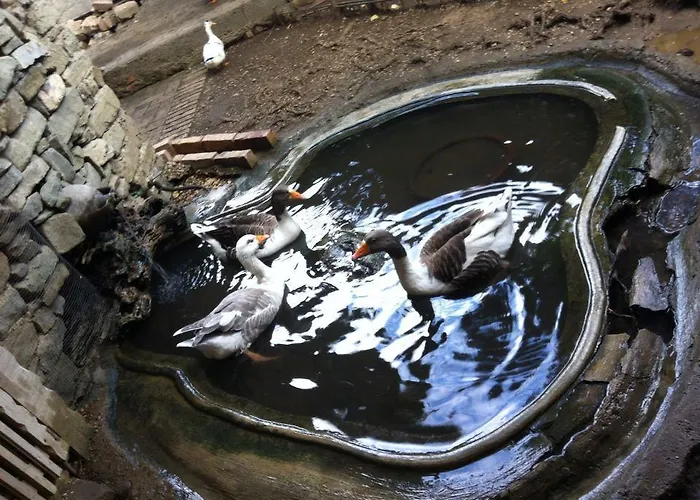 Hotel Restaurant Bujtina E Gjelit Tirana